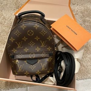Louis Vuitton PALM SPRINGS MINI
